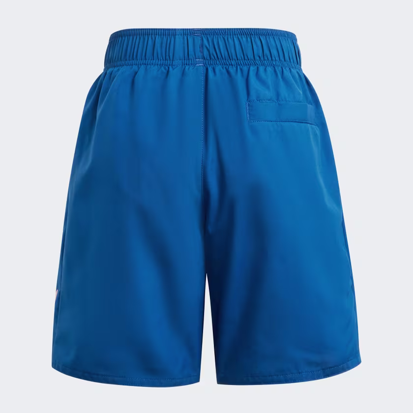 Adidas მამაკაცის საცურაო კოსტიუმი AD DY LS SH