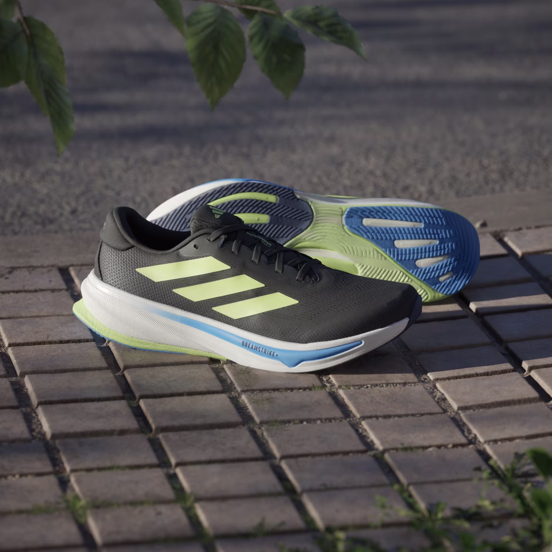 Adidas მამაკაცის სპორტული ფეხსაცმელი