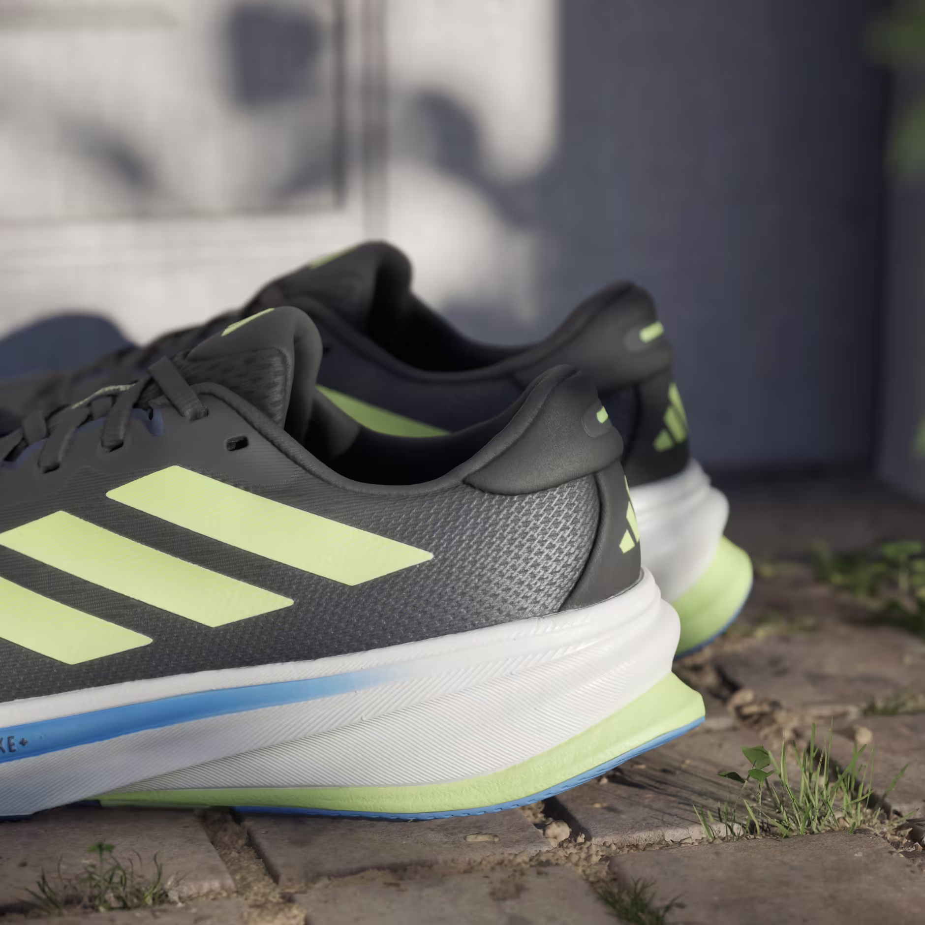 Adidas მამაკაცის სპორტული ფეხსაცმელი