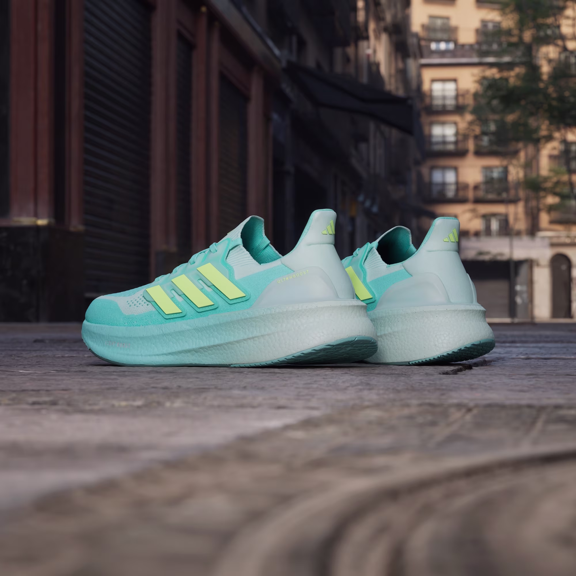 Adidas ქალის სპორტული ფეხსაცმელი