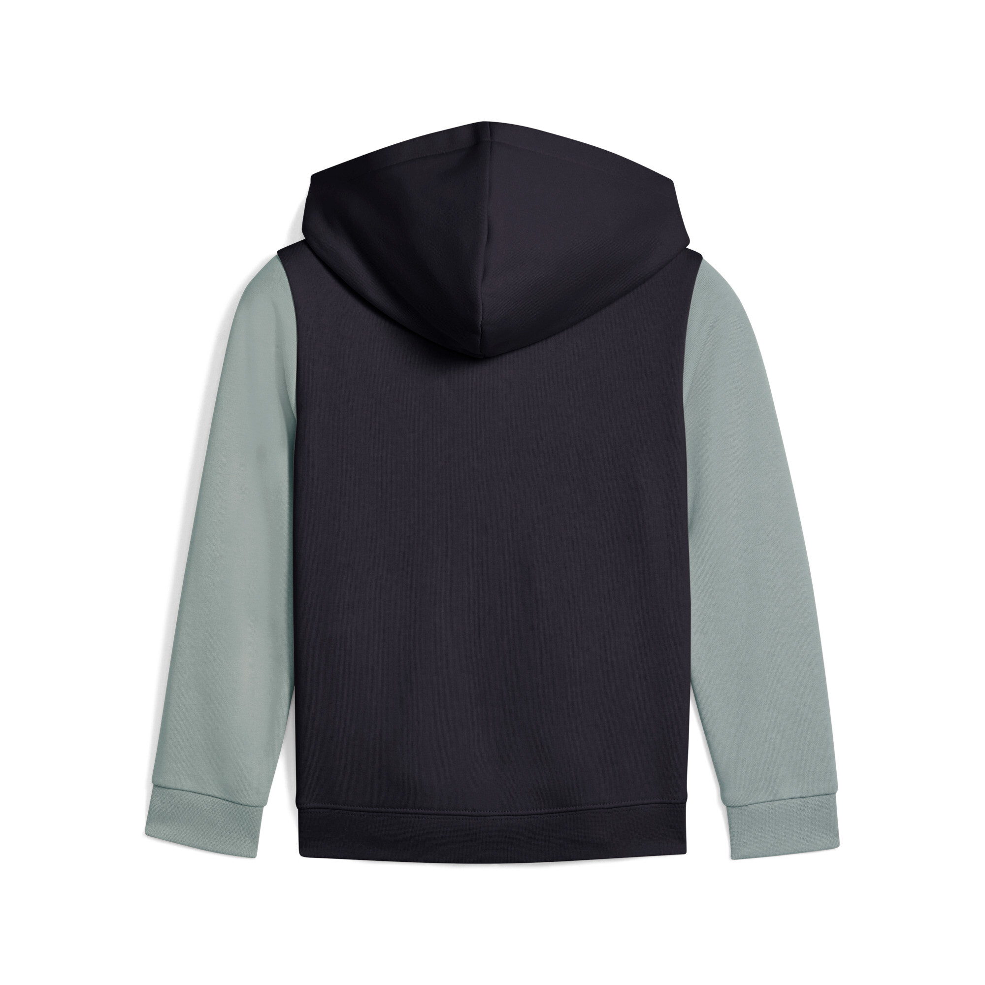Puma ბავშვის ჯემპრი SANDY ADVENTURES Hoodie Full-Zip TR PS