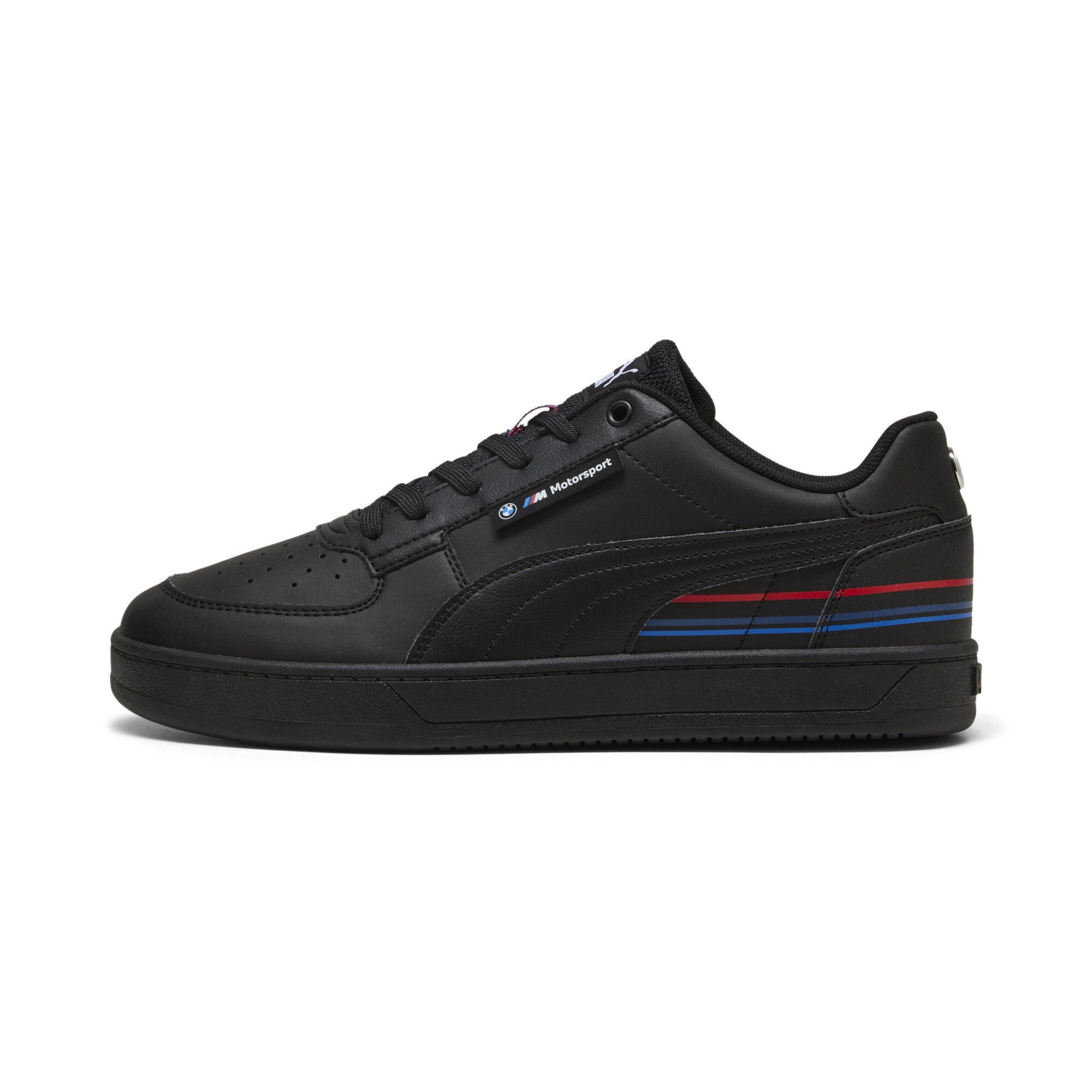 Puma ბოტასი