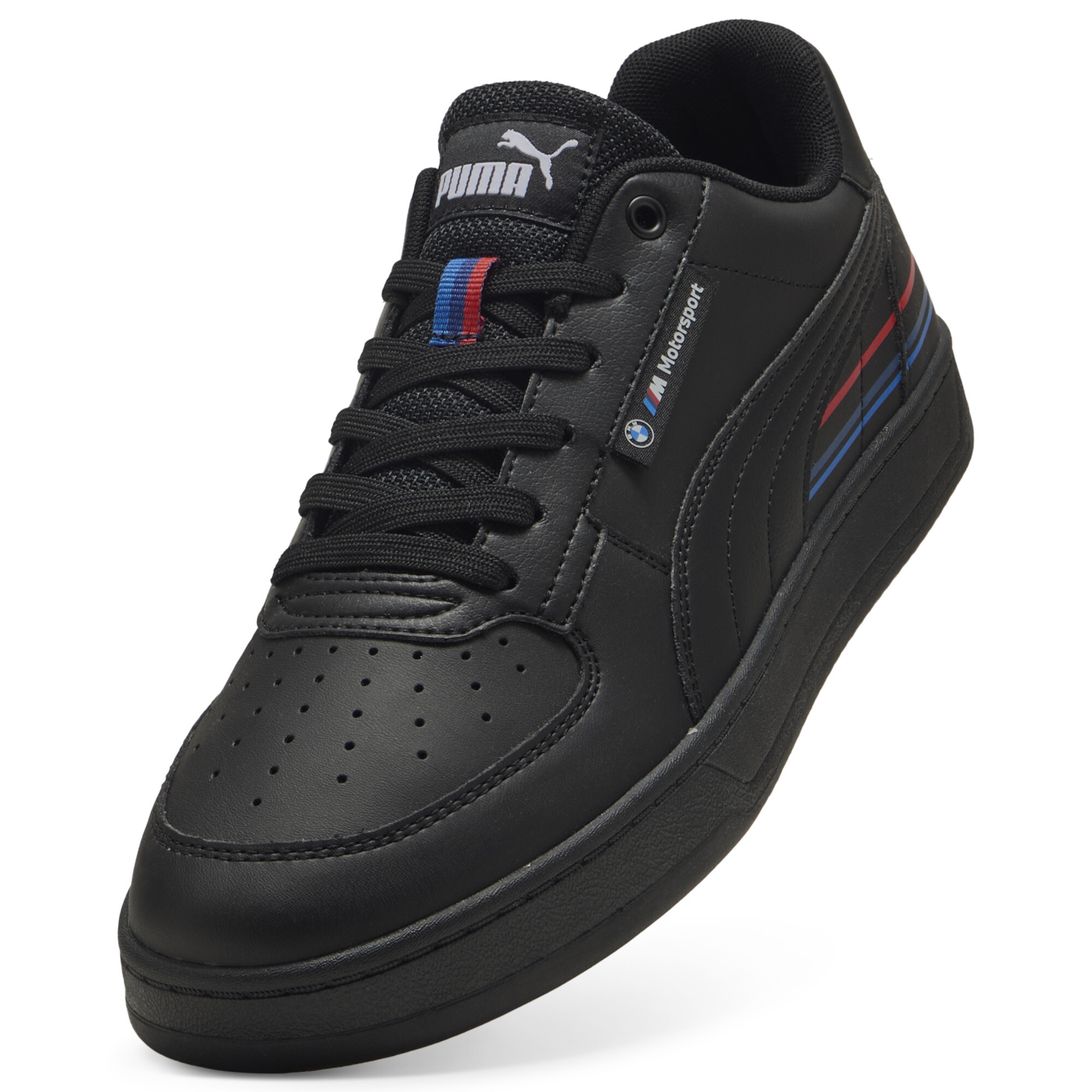 Puma ბოტასი
