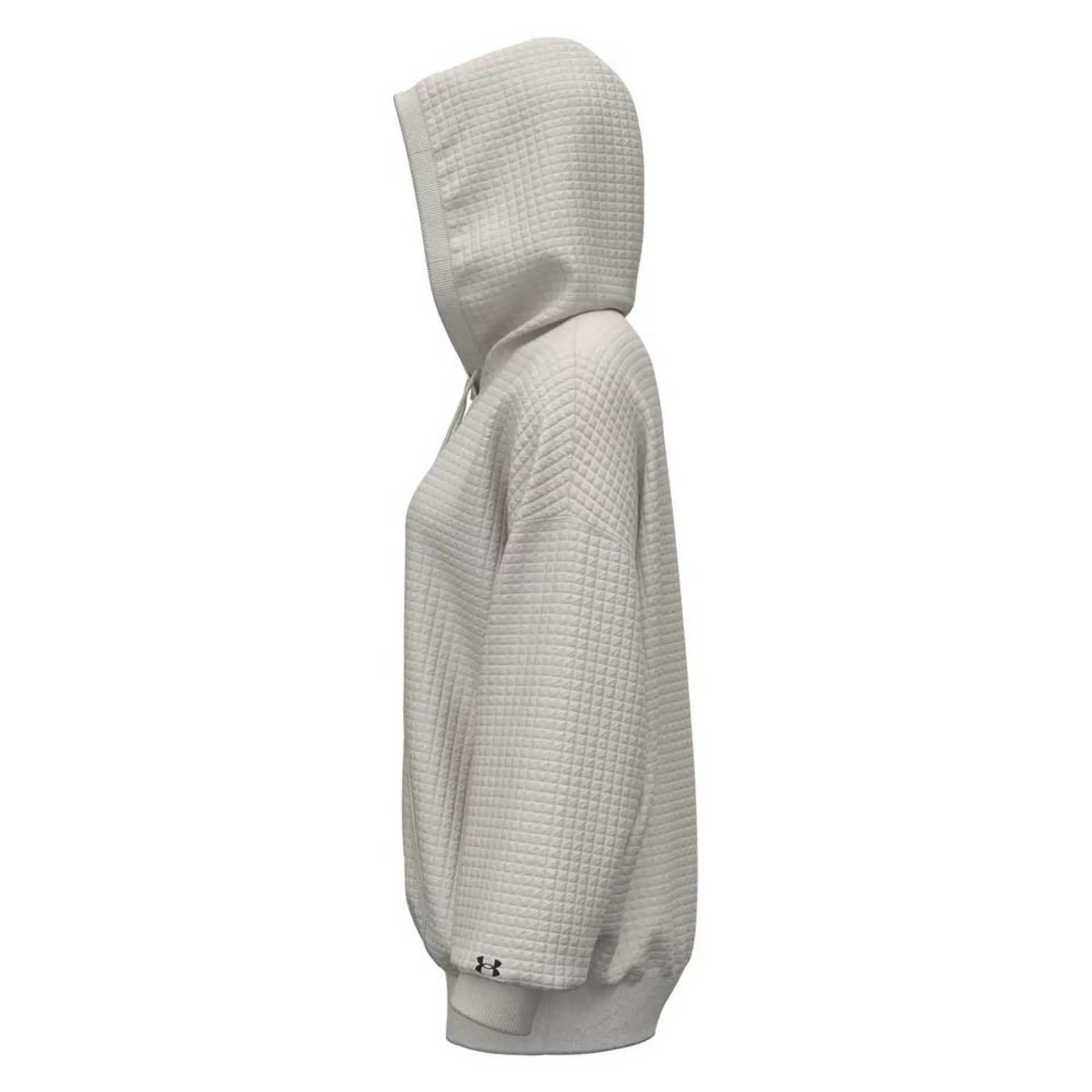 Under Armour ქალის ჯემპრი