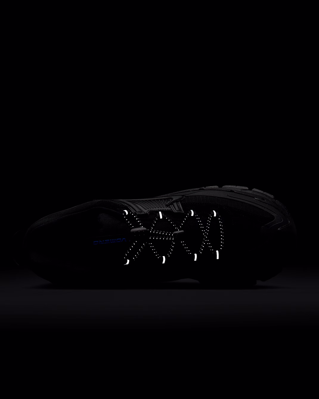 Nike მამაკაცის სპორტული ფეხსაცმელი