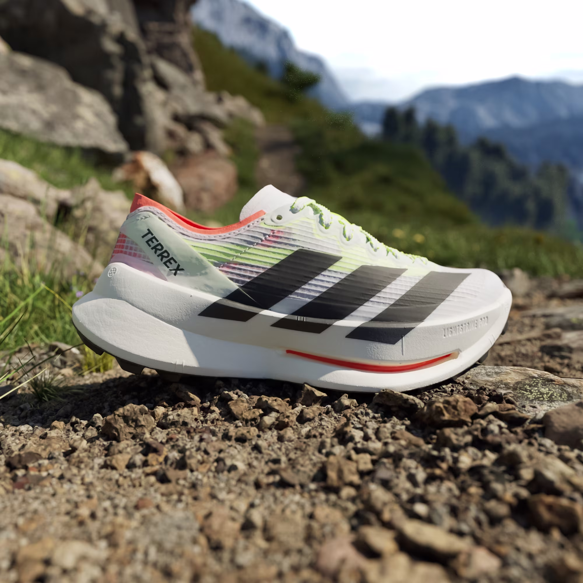 Adidas ქალის სპორტული ფეხსაცმელი