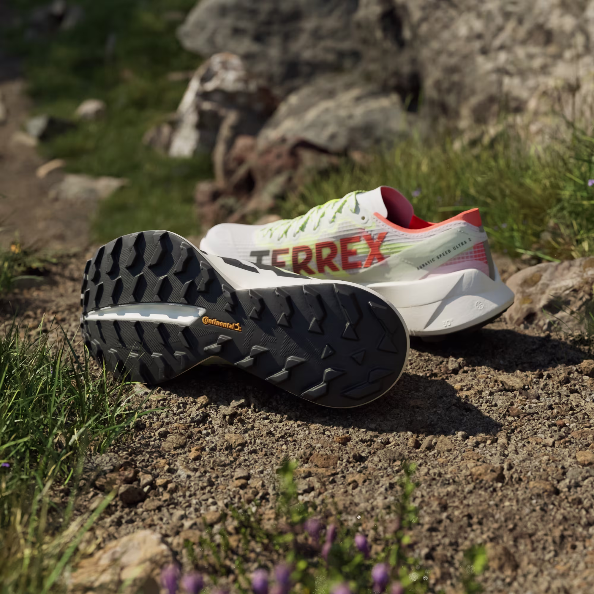 Adidas ქალის სპორტული ფეხსაცმელი