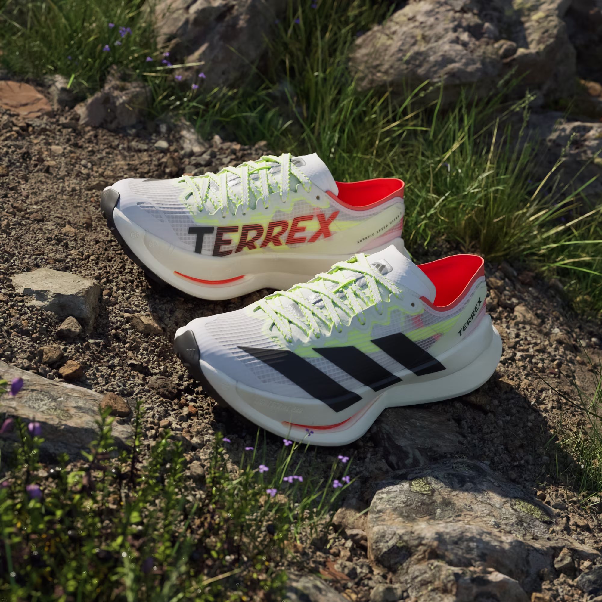 Adidas ქალის სპორტული ფეხსაცმელი