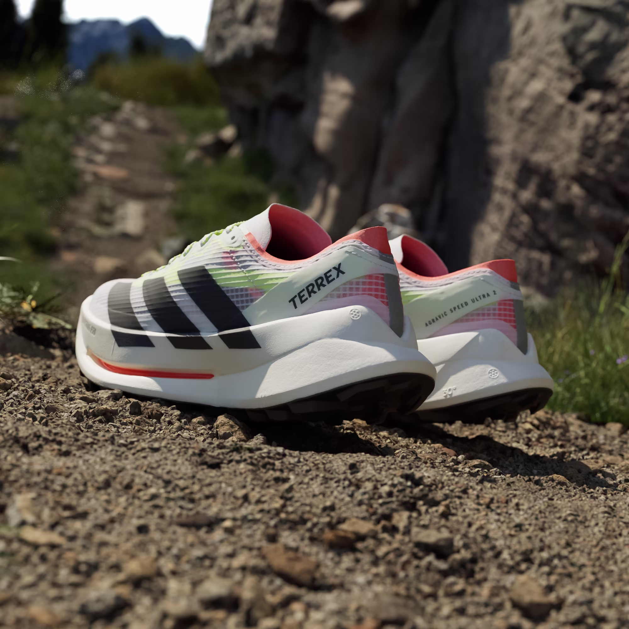 Adidas ქალის სპორტული ფეხსაცმელი