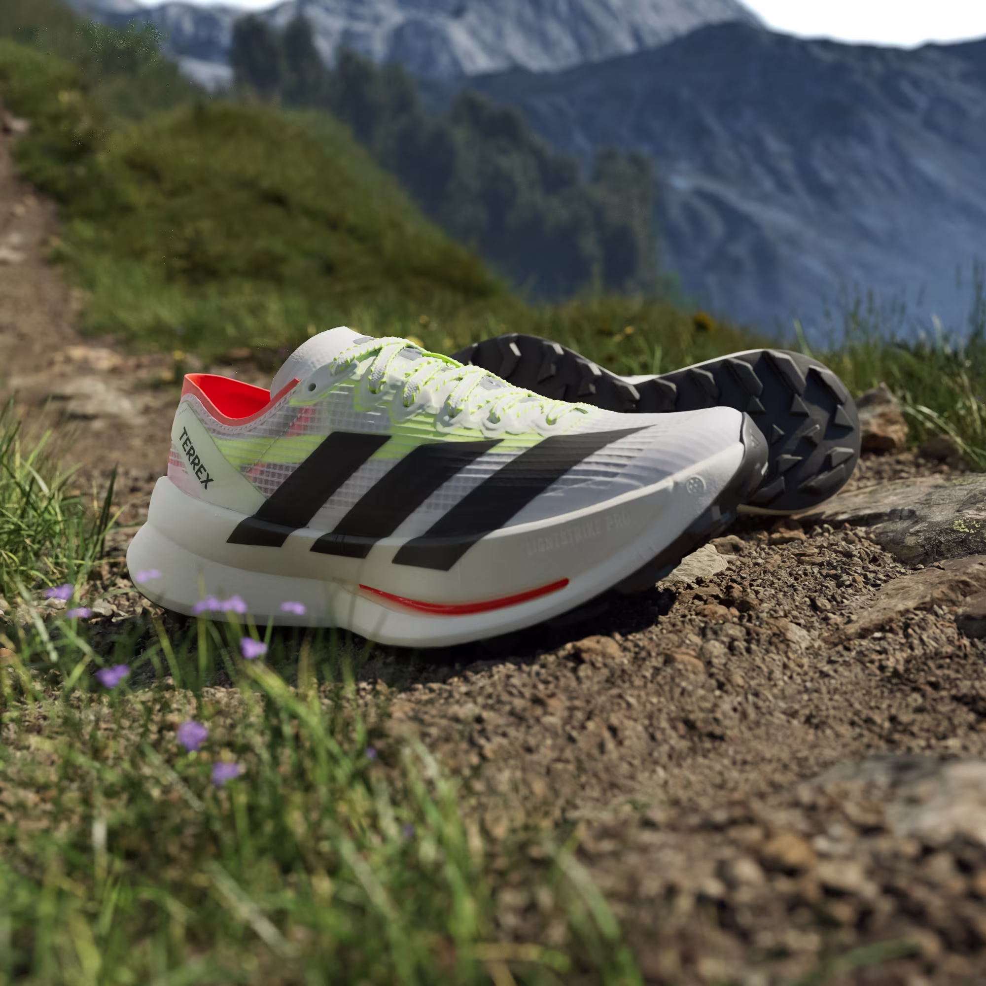 Adidas ქალის სპორტული ფეხსაცმელი
