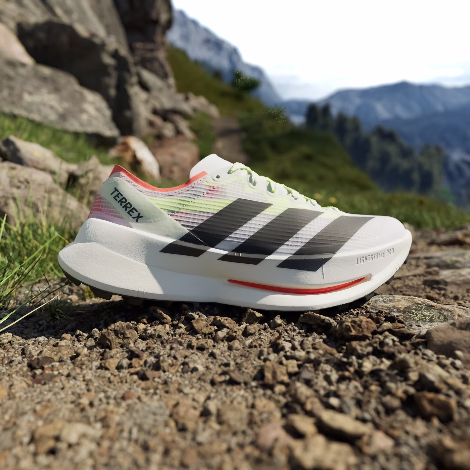Adidas მამაკაცის სპორტული ფეხსაცმელი