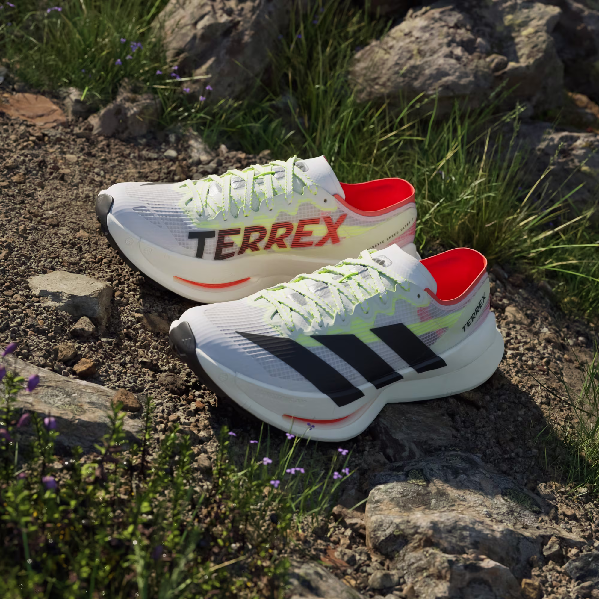 Adidas მამაკაცის სპორტული ფეხსაცმელი