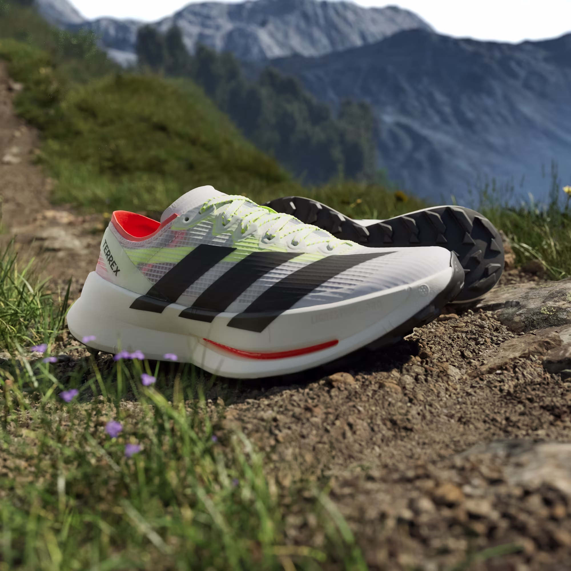 Adidas მამაკაცის სპორტული ფეხსაცმელი