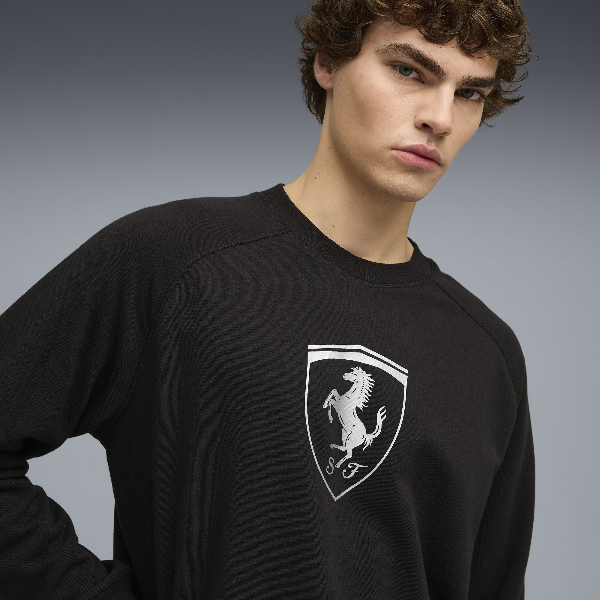 Puma ჯემპრი