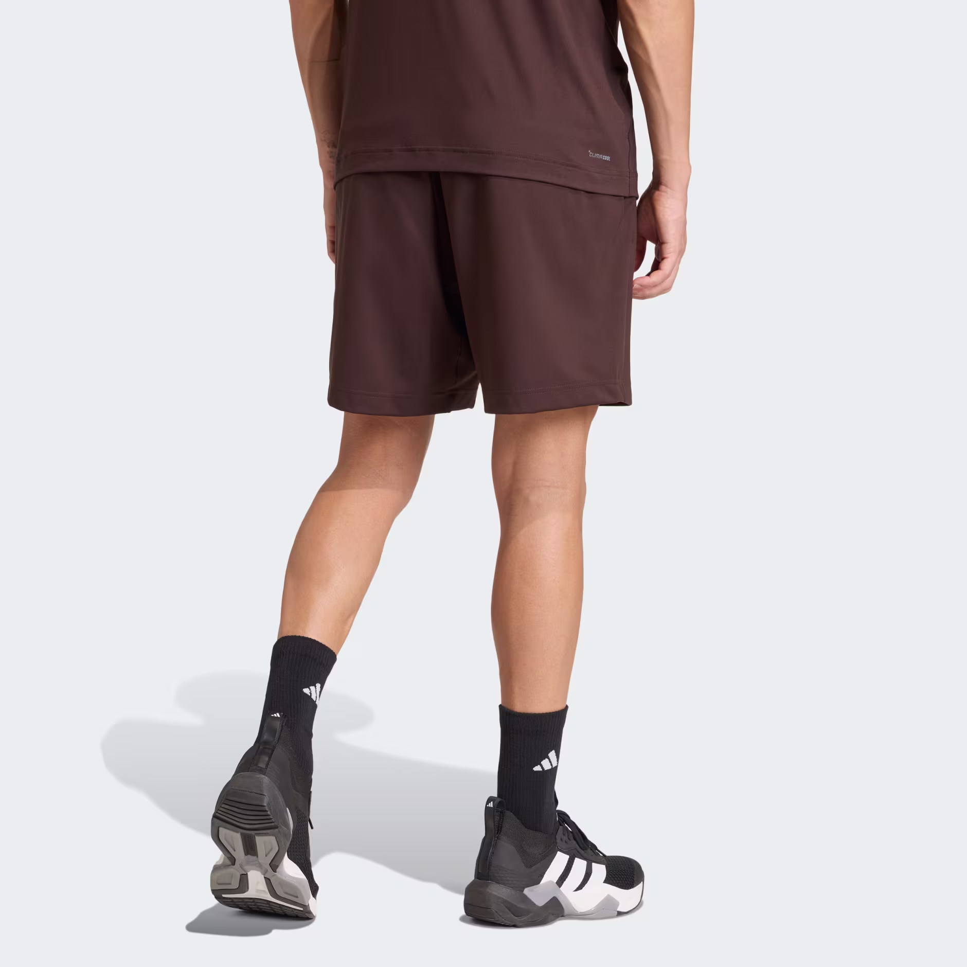 Adidas მამაკაცის შორტი