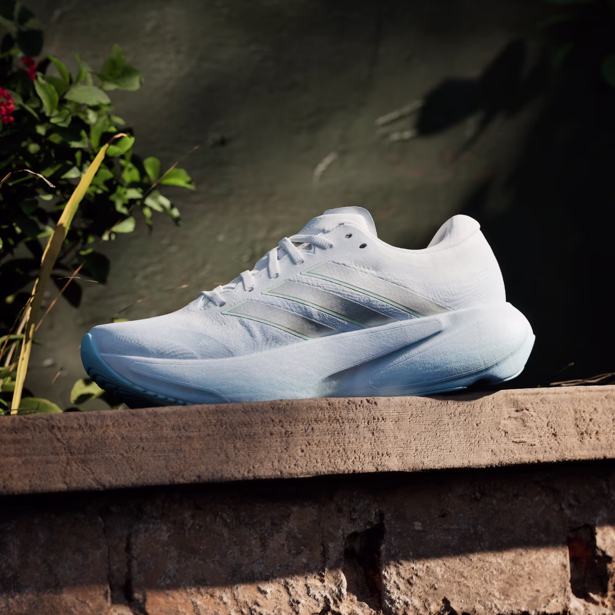 Adidas ქალის სპორტული ფეხსაცმელი