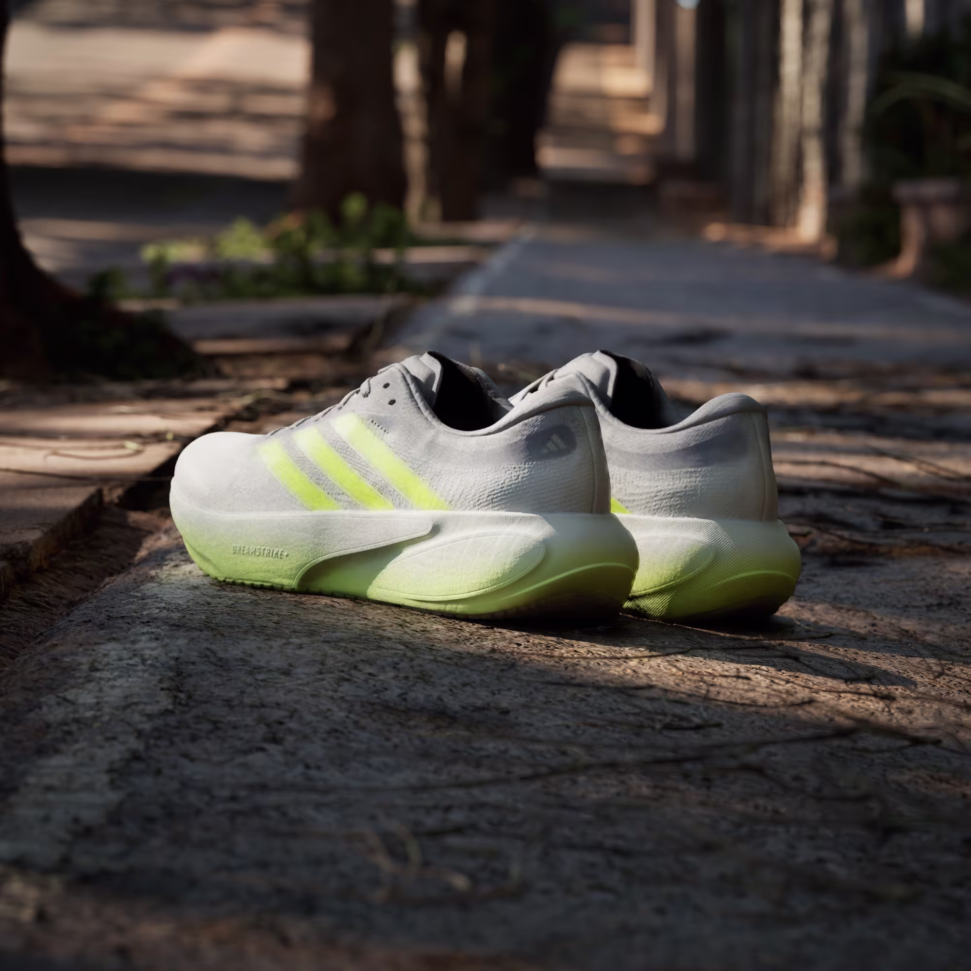 Adidas მამაკაცის სპორტული ფეხსაცმელი