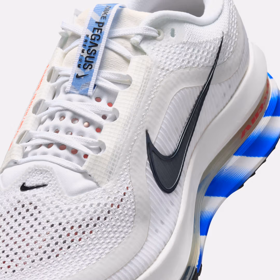 Nike მამაკაცის სპორტული ფეხსაცმელი